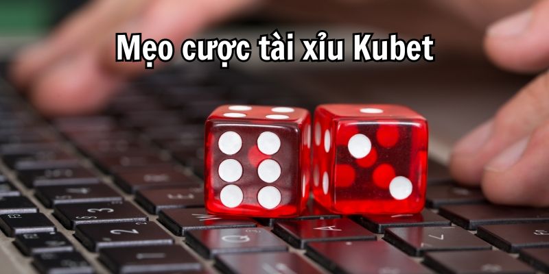 Bí kíp tham gia chơi tài xỉu Kubet chuẩn xác