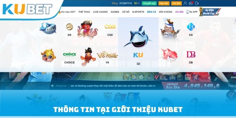 Thông tin tại giới thiệu Kubet